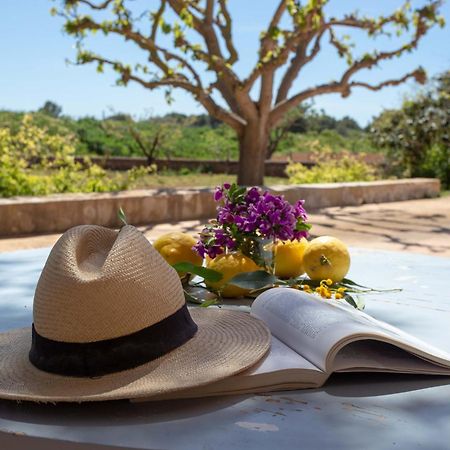 Sa Nau Agroturismo - Adults Only Over 16 克罗姆港 外观 照片