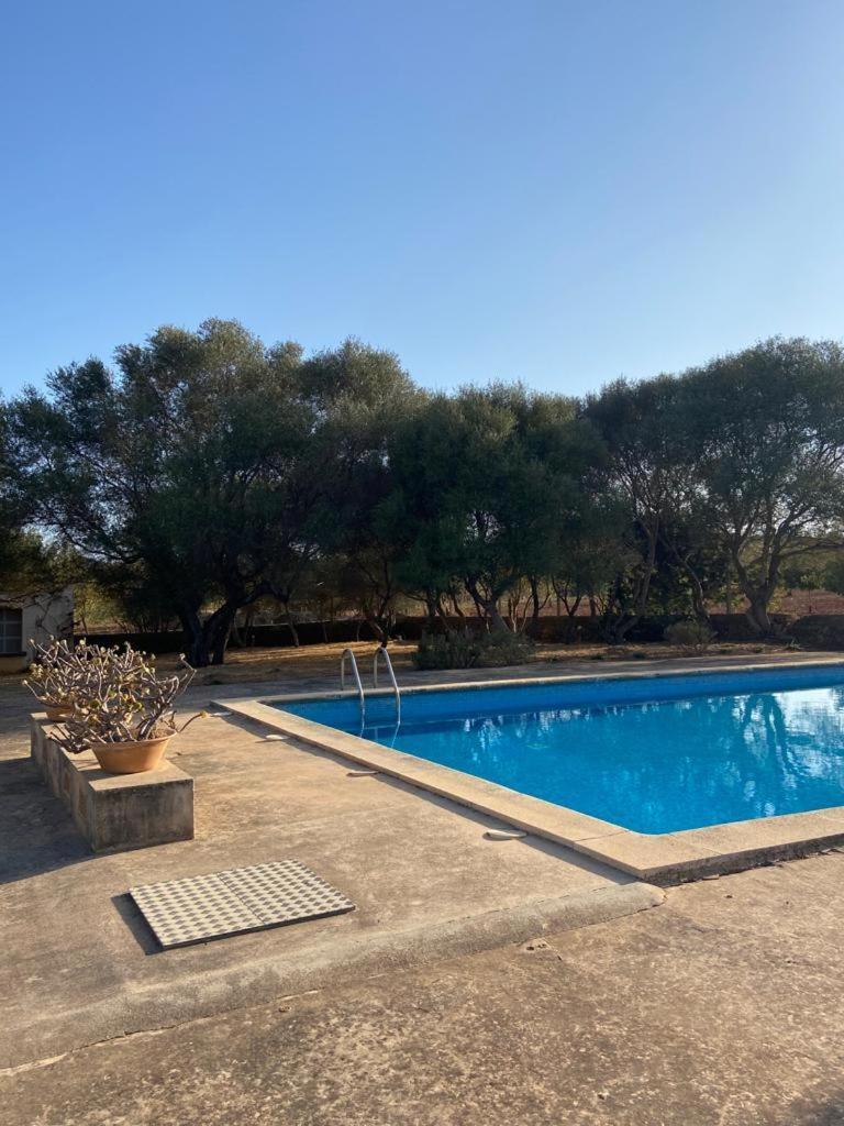 Sa Nau Agroturismo - Adults Only Over 16 克罗姆港 外观 照片